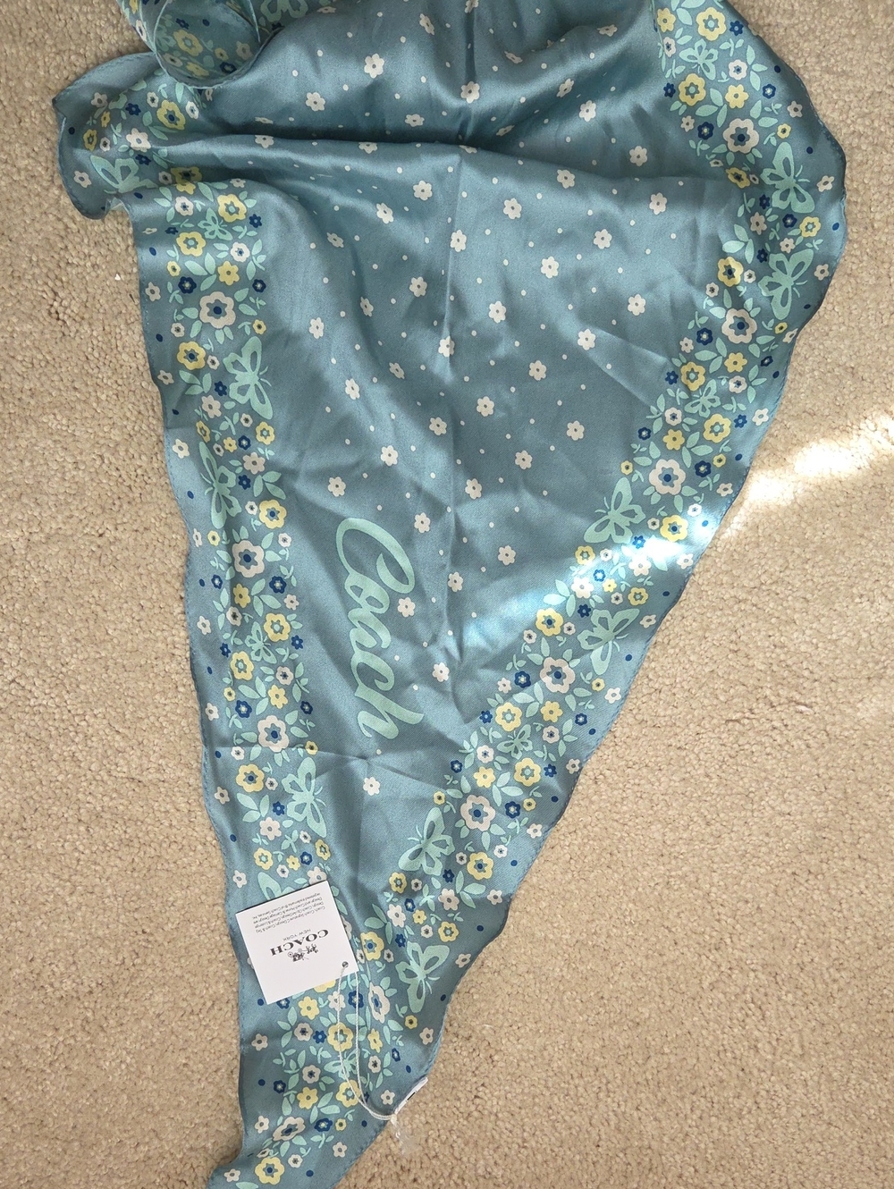 Coach Light Blue Floral Border Scarf
